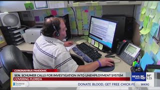 Sen. Schumer calls for investigation into unemployment system
