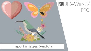 How to Import and Convert Vector Graphics for Embroidery