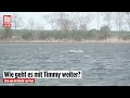 🔴 Tag 26 – Die Rettung vom Ostsee-Wal Timmy geht weiter | BILD LIVE
