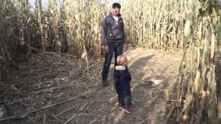 Pumpkin Patch 2013