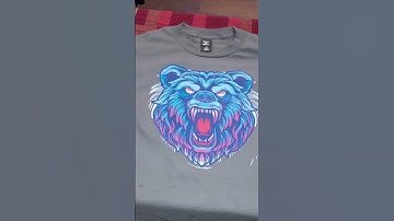 Procolored F13 Pro Panda DTF Printer Dual Print Heads Array, Faster Printing Experience#dtfprinter