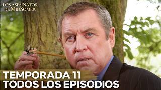 Episodios Completos De Los Asesinatos de Midsomer | Temporada 11