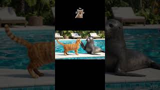 Humor de animais - Vídeos engraçados inéditos de IA Google Veo3.1