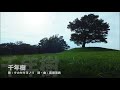 千年樹