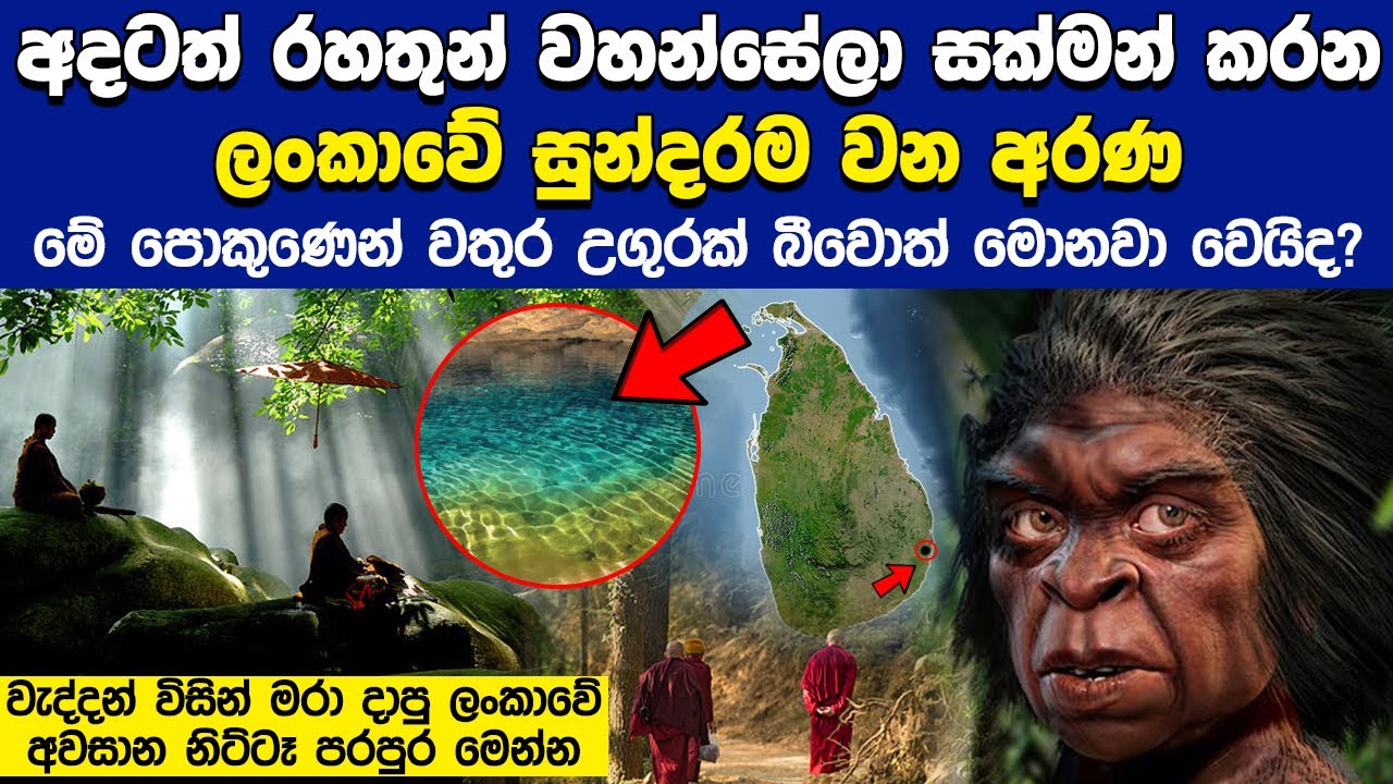 අදටත් රහතුන් වහන්සේලා සැරිසරන ලංකාවේ සුන්දරම වන අරණ ගැන ඔබ මෙතෙක් නොඇසූ කතාව | kudumbigala