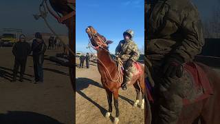 Көз Тиймесин Машаллаһ Зор Екен