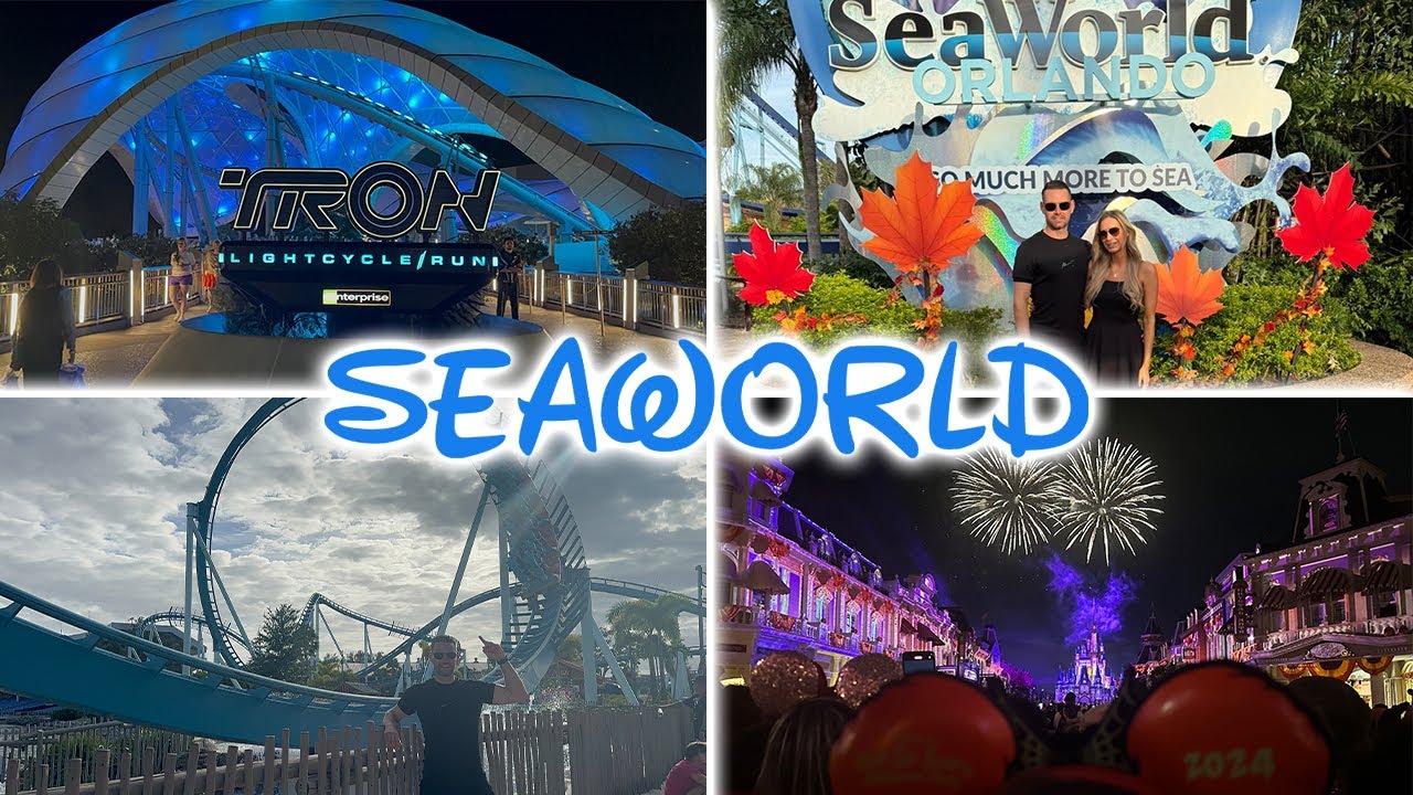 SEAWORLD VLOG CRAZY BUSY DAY AT SEAWORLD A NEW SPOT FOR DISNEY seaworld-vlog-crazy-busy-day-at-seaworld-a-new-spot-for-disney