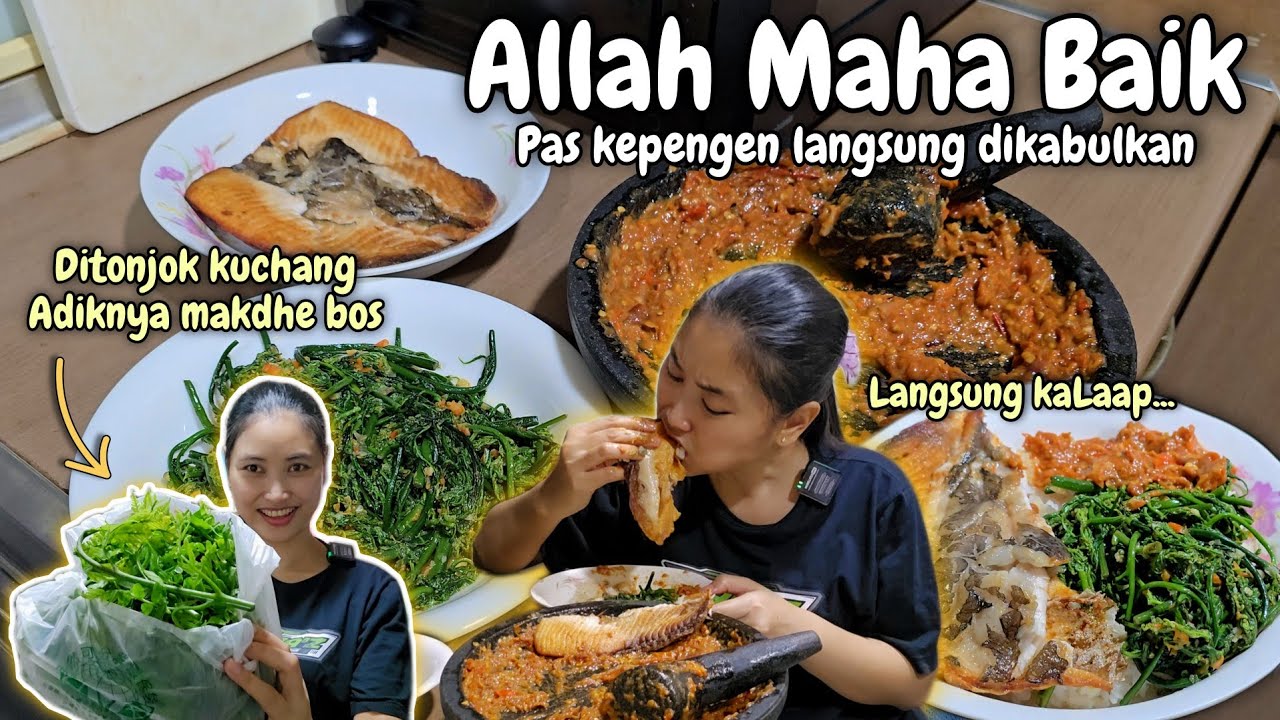 DITONJOK ADIK IPARNYA SUSHU‼️ KALAP LANGSUNG DIMASAK DAN MAKAN BARENG SUSHU