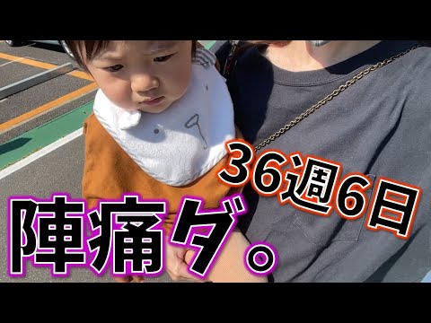 【2人目】【36w6d】仕事日の朝、痛みで目が覚めました。【妊娠後期】【妊娠10ヶ月】【臨月】