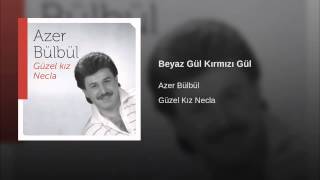 Beyaz Gül Kırmızı Gül Resimi