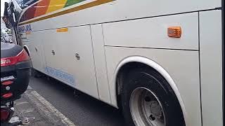 Lulus Ujian Sim | pasti | Supir Bus Sinar Jaya Memang Jago Parkir | Transportasi | AKAP