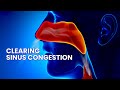 Sinus relief music healing frequency for nasal congestion