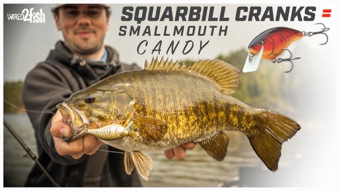 Gussy's Shallow Diving Crankbait Strategy for Smallmouth Bass