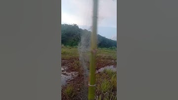 jaring ruak ruak di siang hari