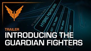 Introducing the Guardian Fighters