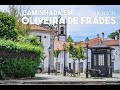 Caminhada em Oliveira de Frades (Oliveira de Frades)