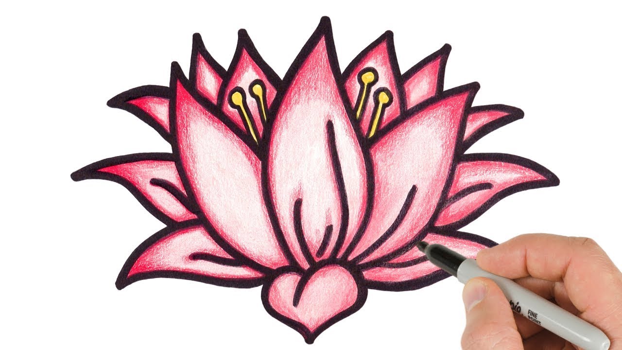 How To Draw Lotus Flower Step By Step Easy Drawing For Kids And Beginners.  - Youtube