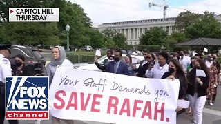 Dem staffers told to wear masks, remove IDs before anti-Israel protest