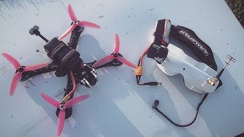 Chameleon Crash Compilation