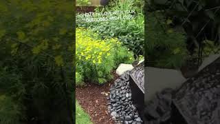 This beautiful water feature is surrounded by lush landscaping adding to this backyard!🌿#backyard