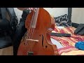 Beautiful love  - jazz standard  - double bass practice  - Csányi Zoltán