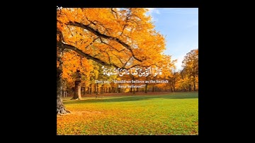 آيات من سورة البقرة 🥹#قران_كريم #ياسر_الدوسري #طبيعة#فصل_الخريف