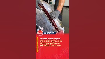 Cách họ cắt cá ngừ vây xanh khổng lồ ở Đài Loan! Món Sashimi sang trọng | Zooxem #shorts #amthuc