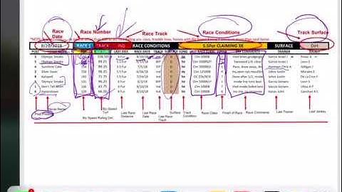 Biz Speed Rating handicapping with our sheets 1