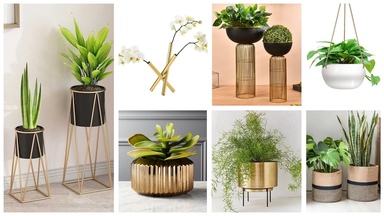 أفكار 💡لصنع اصيص نباتات ☘️راقي لتزيين الصالة #diy #craft #idea #home #deco#flowerpot