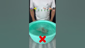 TRY TO GUESS HOW MANY TISSUE PAPER IT TOOKS! what will happend next ? #satisfying #asmr #experiment
