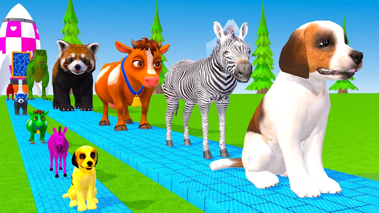 Long Slide Game With Cow Elephant Gorilla Hippopotamus Tiger 3d Animal Game Funny 3d Animals