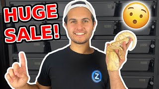 INSANE Ball Pythons For Sale + 1K Subscriber Special!