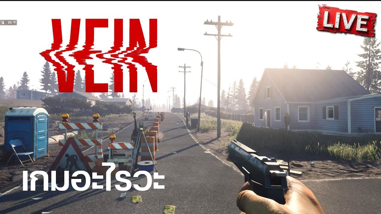 เกมอะไรวะ | VEIN