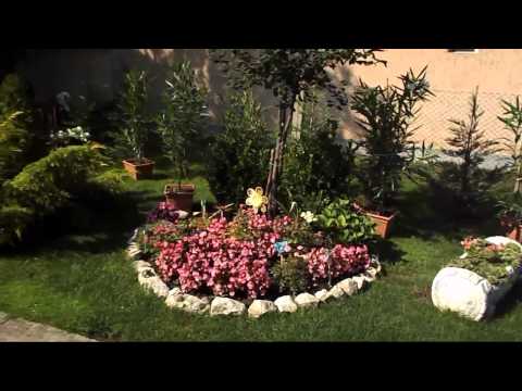 Videó: Virágágyások Hordóból (48 Fotó): Fém, Fa és Műanyag Hordókból Az Országban. Hogyan Készítsünk Virágoskertet Egy Régi Vashordóból, és Milyen Virágokat ültessünk?