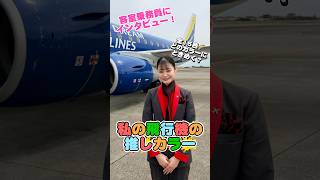 私の飛行機の推しカラー✈️🌈