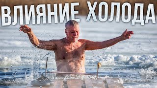 How cold affects the body. Length of life. The Far North | Facts by Ямал Медиа 2,315 views 4 weeks ago 7 minutes, 44 seconds