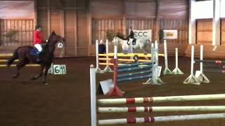 Silver Northstar -Jumping