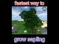 Fastest way to grow sapling  mini block craft gameplays  kbcraft