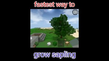fastest way to grow sapling || mini block craft gameplay videos || #kbcraft
