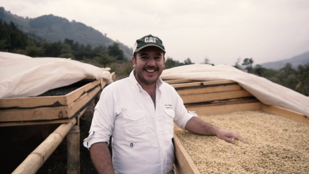Guatemala Orange Peel Process (Direct Trade Coffee)