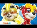 PAW Patrol Mighty Pups Charged Up ⚡ Ep. #3 🐶 Nick Jr.