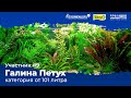 Травник 290 л. Участник №9 в категории от 101 литра #Scalariki​ Aquascaping Contest 2021