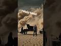Heavy Metal Musikvideo . So wie der Wind den Sand verweht  Das ganze Video auf meinem Kanal #music