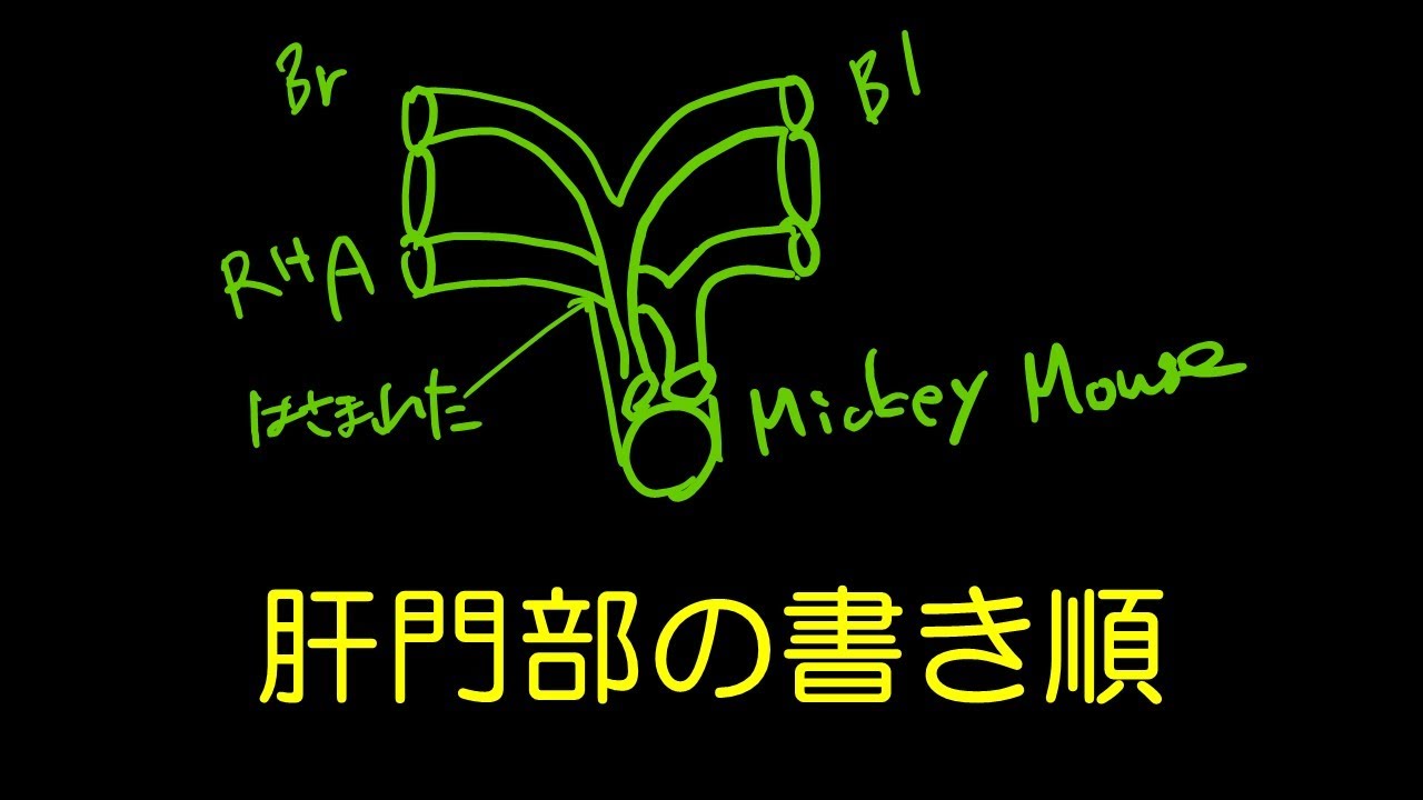 字を書くように絵を書こう 9 肝門部の書き順 Youtube