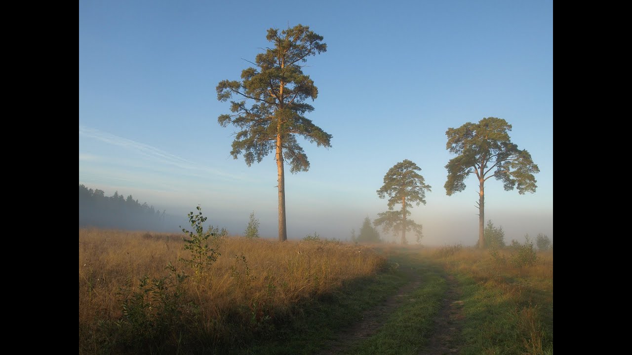 Песня "По Муромской дорожке" (в память о бабушке). - YouTube