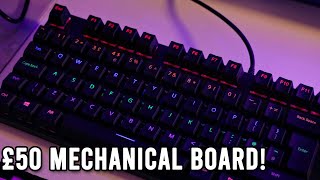 Mechanical keyboard on a BUDGET! Rapoo V500Pro Review