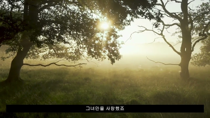 ★★★그때의 눈물겨운 기다림 (2004)