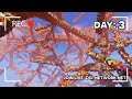 24/7 LIVE - 1 View = 1 Block - A Minecraft Experiment | og-network.net | /tplastblock on server