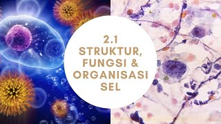2 1 Struktur, fungsi dan organisasi sel Sains Tingkatan 1