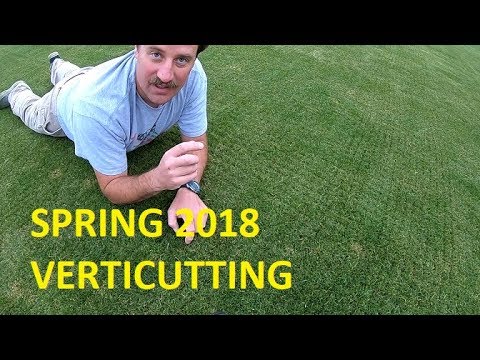 Video: Vericutters: How To Choose A Lawn Verticutter Aerator? What It Is? Petrol And Manual Vehicles, Rating Of The Best Verticutters. How To Work With Them?